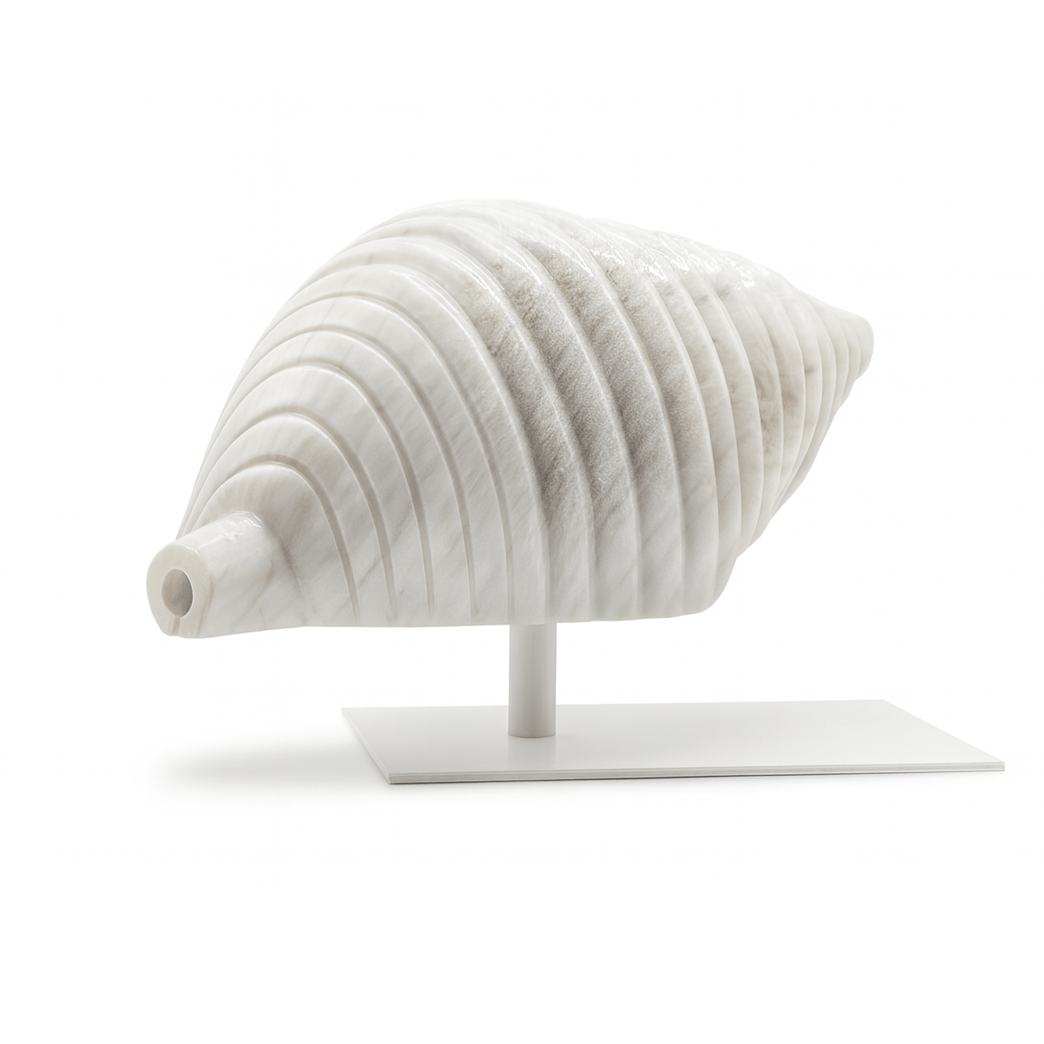 Sea Whisper Seashell