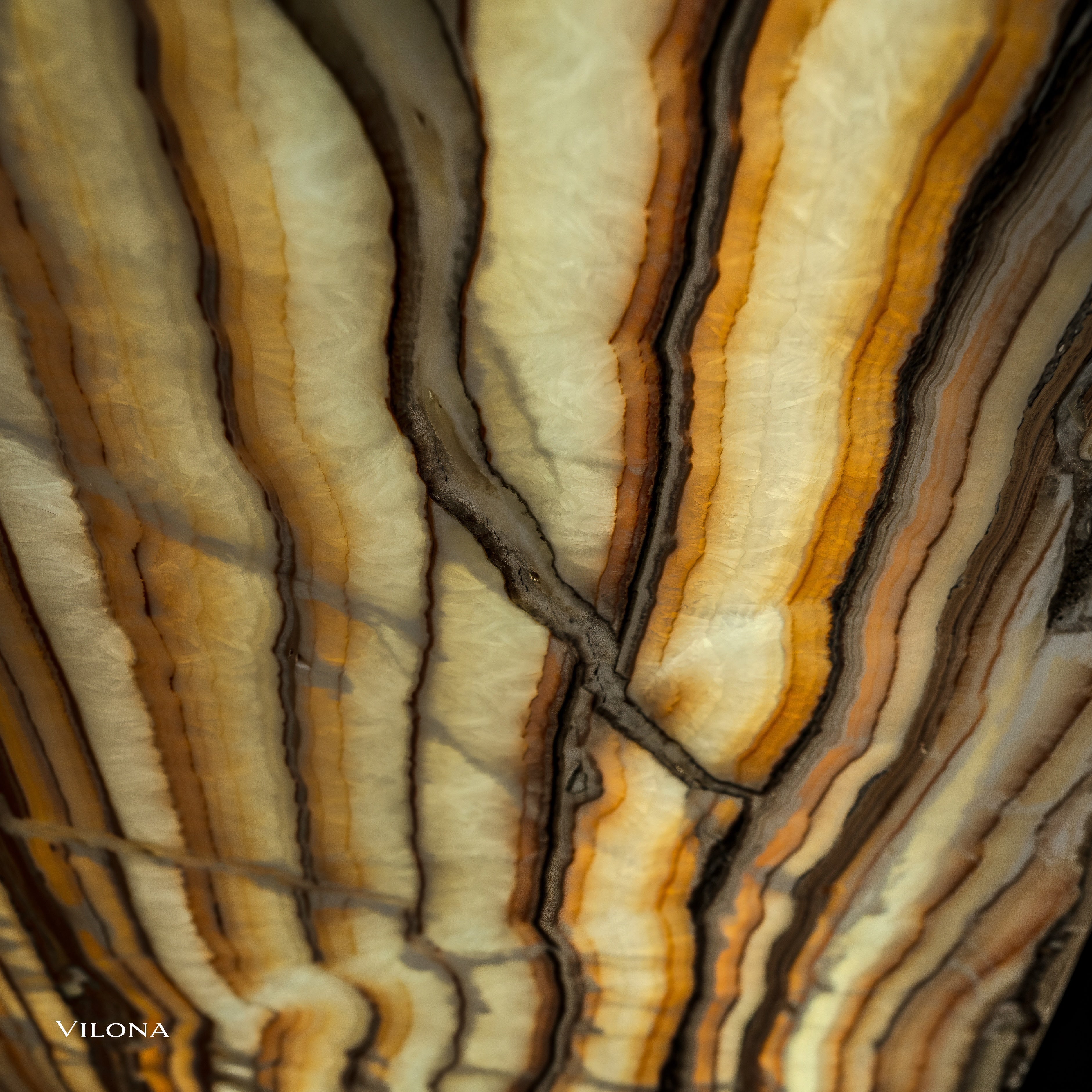 Sahara Onyx Wall Panels (Set #2 Out Of 3) Exotic